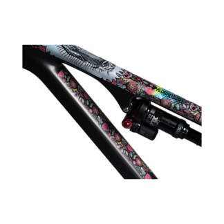 DYEDBRO GUADALUPE COLOR