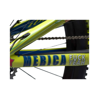 DYEDBRO MERICA FUCK YEAH